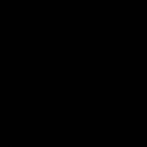 Meet your Posher, Leeann